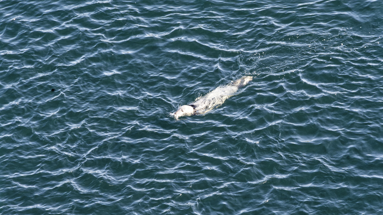 20230727 083434•Lerwick•Shetland•Scotland•UK